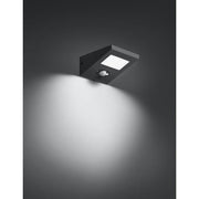 Brumberg Leuchten - Decken-/Wandleuchte LED-Solarwandleuchte 65291103 3000K, graphit
