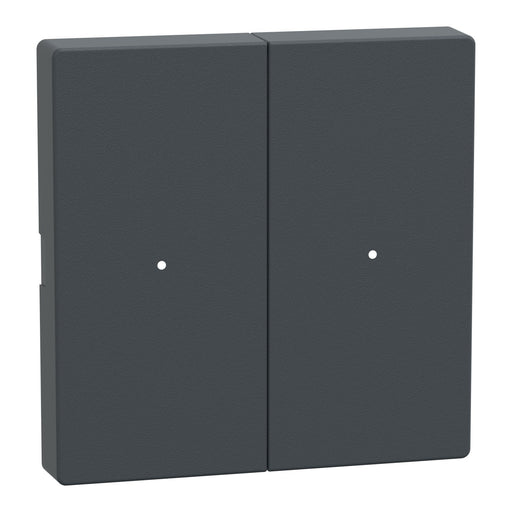 Schneider Electric - Bussystem-Tastwippe Wippe Tastermodul 2fach MTN625214 Anthrazit