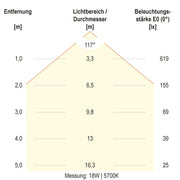 EVN Lichttechnik - Decken-/Wandleuchte LED-Anbauleuchte AP35304425 CCT Switch