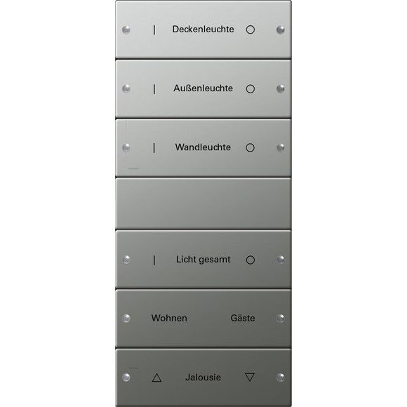 Gira - Bussystem-Tastwippe Wippenset 6-fach 2136602 beschr. Sys 55 eds