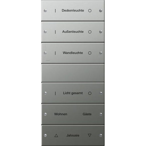 Gira - Bussystem-Tastwippe Wippenset 6-fach 2136602 beschr. Sys 55 eds