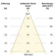 EVN Lichttechnik - Downlight/Strahler/Flutlicht LED-Anbauleuchte ALG54131525