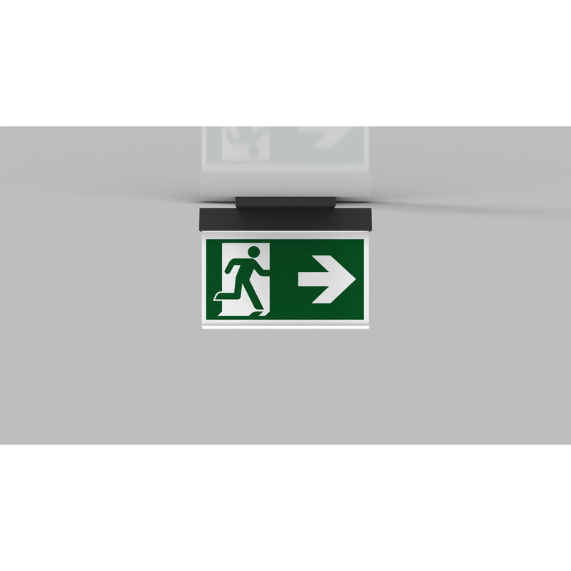 RP-Technik - Sicherheitsleuchte LED-Rettungszeichenleuchte AIE009ML-AZ ZB + ML, anthrazit