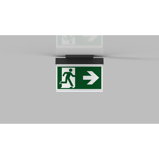 RP-Technik - Sicherheitsleuchte LED-Rettungszeichenleuchte AIE009ML-AZ ZB + ML, anthrazit