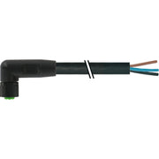 Murrelektronik - Konfektioniertes Sensor-Aktor-Kabel Verbindungsleitung 7005-08101-6310750 − 1 Stück