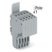 WAGO - Ein- und mehrpolige Klemmenleiste 2-Leiter-Federleiste 2020-205/124-000 CAGECLAMP,1,5mm²,gr − 50 Stück