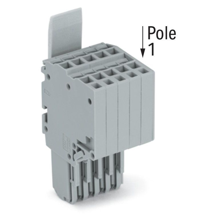 WAGO - Ein- und mehrpolige Klemmenleiste 2-Leiter-Federleiste 2020-205/124-000 CAGECLAMP,1,5mm²,gr − 50 Stück