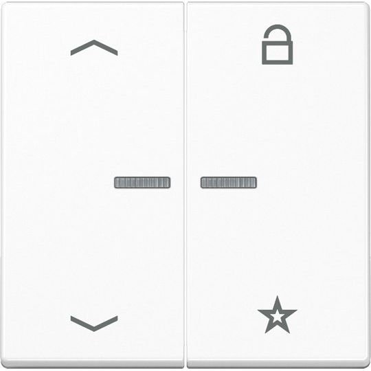 Jung - Bedienelement intelligent eNet Funk-Steuertaste FM A 1701 BFP WWM schneeweiß matt − 1 Stück