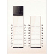 TCS Tür Control - Türstation für Türkommunikation PES PRO Audio Außenstat. ASU600436-0019 36T/2 UP R9010
