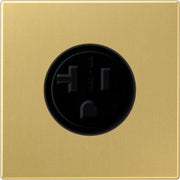 Jung - Steckdose US-Norm NEMA ME 2521-20 C 20A 125V,Me. classic