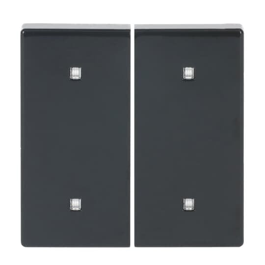 Busch-Jaeger - Abdeckung/Bedienelement für Installationsschalterprogramme Wippe 2-fach 2570-20-81 Elektroniktaster