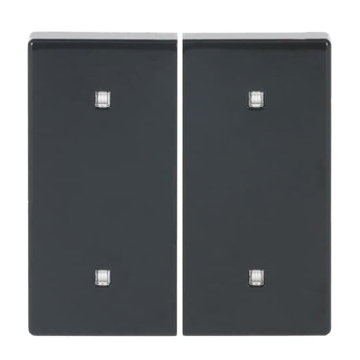 Busch-Jaeger - Abdeckung/Bedienelement für Installationsschalterprogramme Wippe 2-fach 2570-20-81 Elektroniktaster