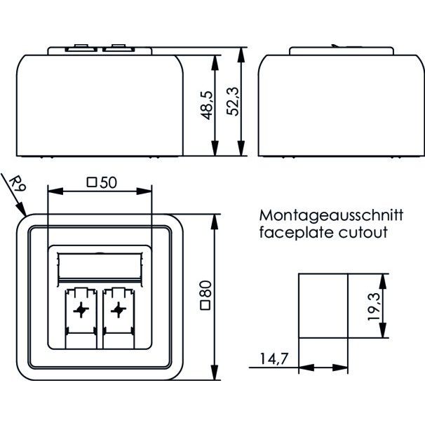 Telegärtner - Kommunikationsanschlussdose Kupfer Modulaufnahme 100021396 80x80, 2-fach AP