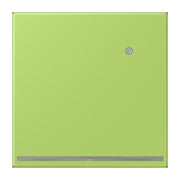Jung - Orientierungsleuchte LED-Orientierungslicht LC 1539-O LNW 221 vert clair (32052)