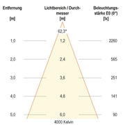 EVN Lichttechnik - Downlight/Strahler/Flutlicht LED-Anbauleuchte ALG54250125