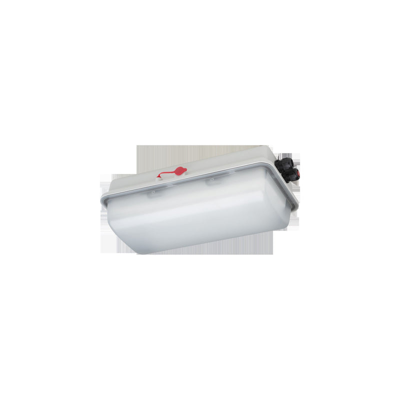 Schuch Licht - Explosionsgeschützte Leuchte Not-/Hinweis LED-Ex-Notleuchte e856F L10/1/1,6 IP66, SK I