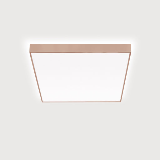 Lightnet - Decken-/Wandleuchte LED-Anbauleuchte CX2AEE-830M-Q630 3000K, silber