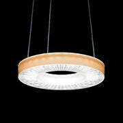Ridi-Leuchten - Lichttechnisches Zubehör/Ersatzteile für Leuchten Einlegefolie IRIS-L FOLIE TERRA terra