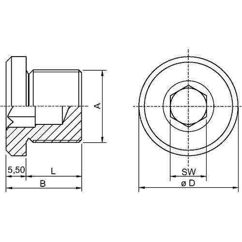 Stahl - Verschlussschraube Verschlussstopfen CMP-767-D-M2-5 CMP-767D VST MsNi M2