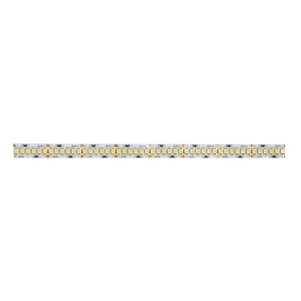 Brumberg Leuchten - Lichtschlauch/-band LED-Flexband 5000mm 15205003 24V 3100K IP00