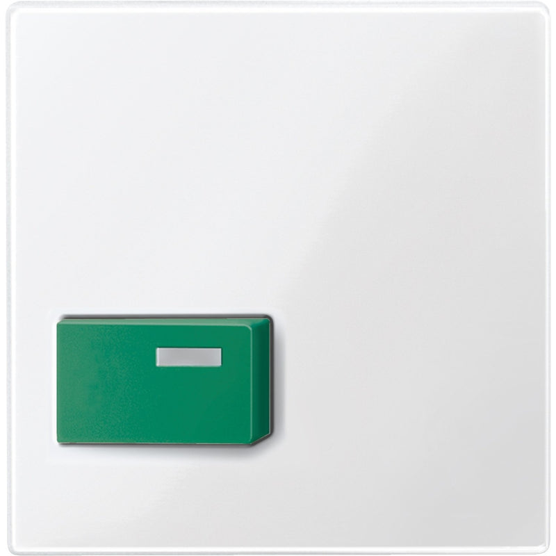 Merten - Zentralelement Klinikinstallation Zentralplatte pws/gl 451519 für Abstelltaster gn