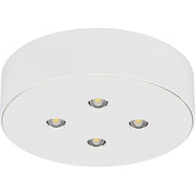 Ceag Notlichtsysteme - Sicherheitsleuchte 3514 LED CG-S