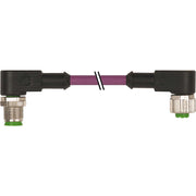 Murrelektronik - Konfektioniertes Sensor-Aktor-Kabel Verbindungsleitung 7000-44021-8400100 M12 St. auf M12 Bu