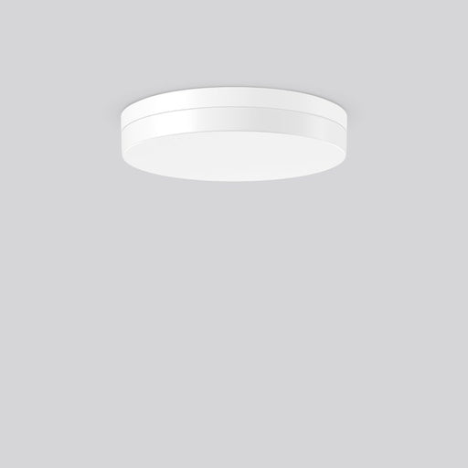 RZB - Sicherheitsleuchte LED-Wand-u.Deckenleuchte 672659.002.87 830/840 ZB AC-C.DALI