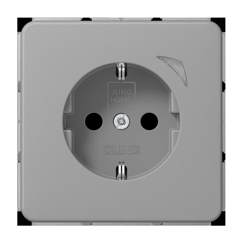 Jung - Steckdose SCHUKO Steckdose 16 A 250V BT CD 1521 S GR m. Berührungsschutz