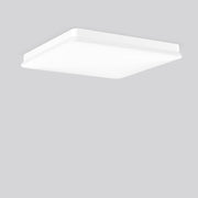 RZB - Sicherheitsleuchte LED-Wand-u.Deckenleuchte 672838.002.1.89 ZB