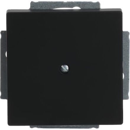 Busch-Jaeger - Einsatz/Abdeckung für Kommunikationstechnik Zentralscheibe sw mt 1742-885 Blindabd,m.Tragring