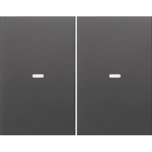 Berker - Abdeckung/Bedienelement für Installationsschalterprogramme Tast-Abdeckung 2f. anth 80960375