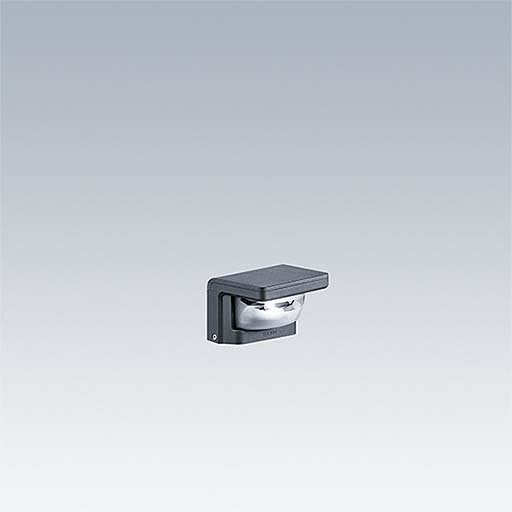 Thorn - Decken-/Wandleuchte LED-Pollerkopf RAW 1L35- #96631800 3000K