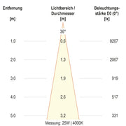 EVN Lichttechnik - Downlight/Strahler/Flutlicht LED-Schienenstrahler CT250925