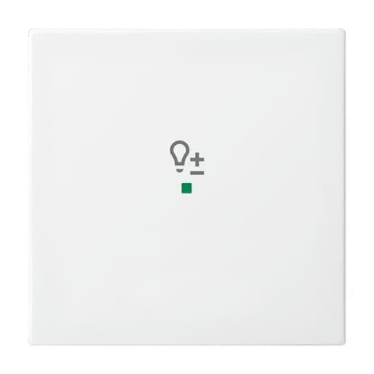 Busch-Jaeger - Bussystem-Tastwippe Wippe aws 6234-10-914 Busch-balance SI