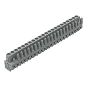 WAGO - Leiterplattensteckverbinder THT-Federleiste gerade 232-152 Rastermaß 5mm,grau − 10 Stück
