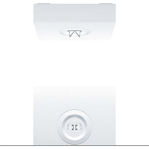 Zumtobel Group - Sicherheitsleuchte Sicherheitsleuchte RESCLITE P #42185714