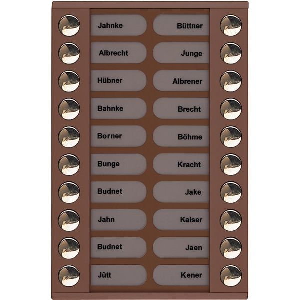 TCS Tür Control - Montageelement für Türstation Audioaußenstation 2-reihig PET20-EB/04 Erw.20 Tasten bronze