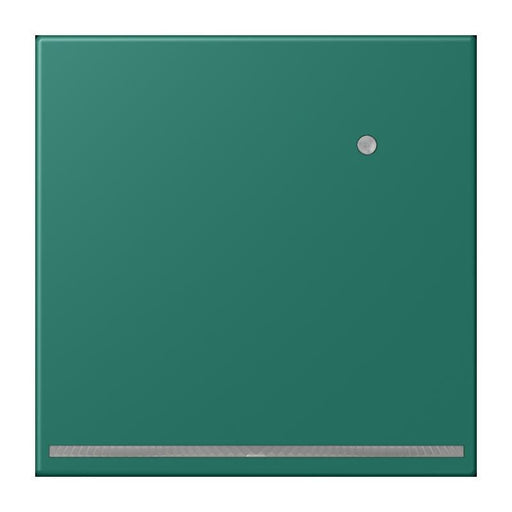 Jung - Orientierungsleuchte LED-Orientierungslicht LC 1539-O LNW 216 vert anglais (32040)
