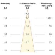 EVN Lichttechnik - Downlight/Strahler/Flutlicht LED Downlight schwenkbar P65130140 dimmbar, IP65
