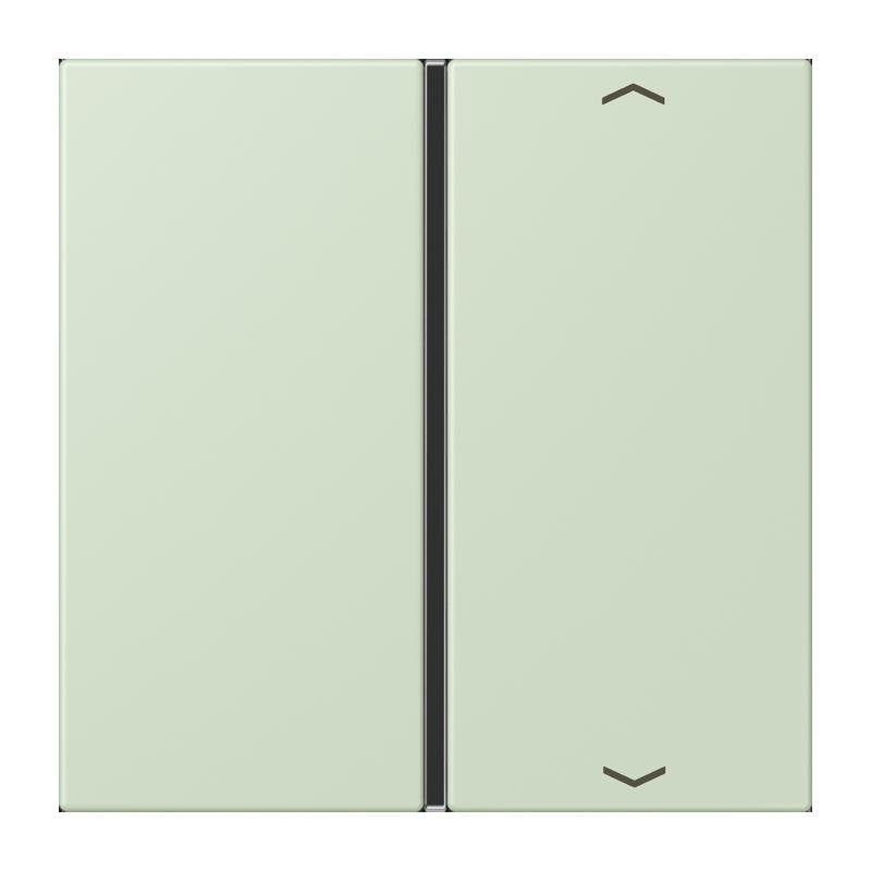 Jung - Abdeckung/Bedienelement für Installationsschalterprogramme Taste 1fach m. Pfeilsymb. LC 401 TSAP 218 vert anglais pale
