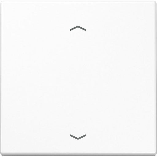 Jung - Sender/Fernbedienung für Installationsschalterprogramme Funk-Wandsender aws ENO LS 990 P WW 2-kanalig Symbole