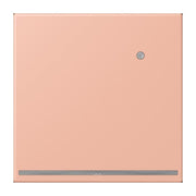 Jung - Orientierungsleuchte LED-Orientierungslicht LC 1539-O LNW 231 rose clair (32102)
