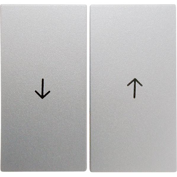 Berker - Abdeckung/Bedienelement für Installationsschalterprogramme Wippe alu matt 16251404 mit Symbol Pfeil