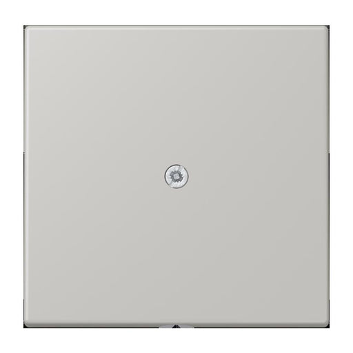 Jung - Einsatz/Abdeckung für Kommunikationstechnik Leitungsauslass m. Zugent. LC 990 A 205 gris clair 31