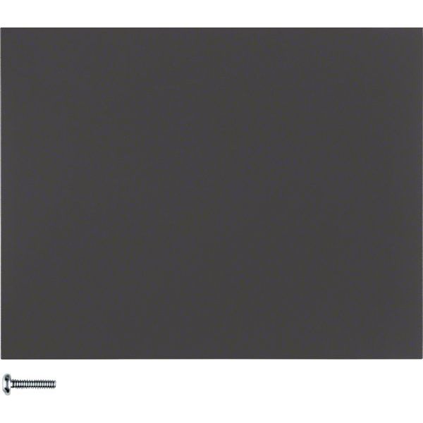 Berker - Bussystem-Tastwippe KNX-Funk Taste 1fach 85145175 anthrazit matt
