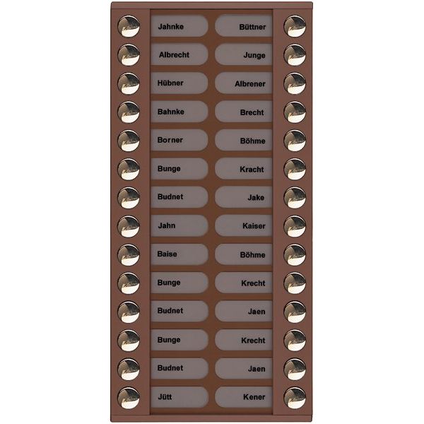 TCS Tür Control - Montageelement für Türstation Audioaußenstation 2-reihig PET28-EB/04 Erw.28 Tasten bronze