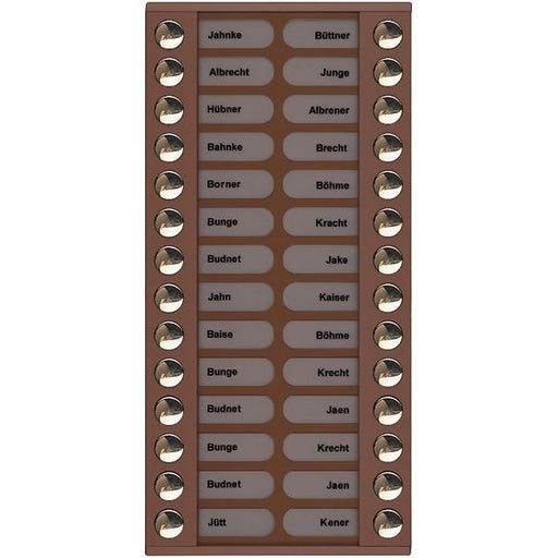 TCS Tür Control - Montageelement für Türstation Audioaußenstation 2-reihig PET28-EB/04 Erw.28 Tasten bronze