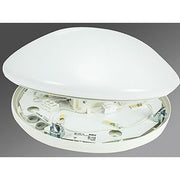 Regiolux - Decken-/Wandleuchte LED-Wannenleuchte WBLR/50 #25330144110 3000K