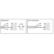 Ledvance - Decken-/Wandleuchte LED-Wand-u.Deckenleuchte BLKHRDEL300P_MS840BK 840, sw